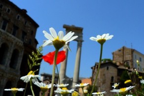 Весна в Риме, фото