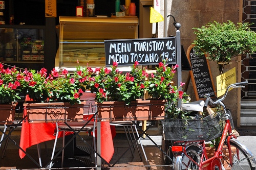 Туристическое меню, фото, Пиза, Италия