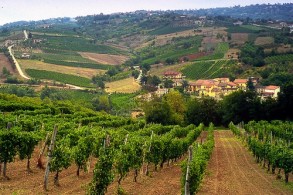 Винные регионы Италии, фото, Виноградники, Кампания, Италия