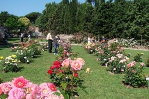 Погода в Риме в мае, фото, фестиваль роз на Авентинском холме, Италия