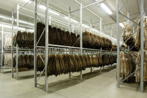 Шубы в Италии, фото, меховая фабрика в Сан-Марино, Италия