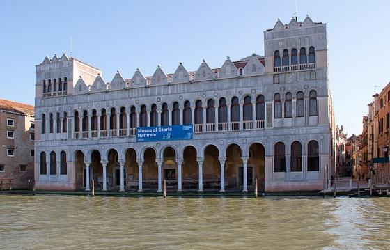 Самые интересные музеи Венеции, Дворец Фондако деи Турки