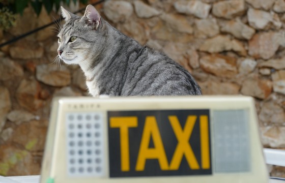 Такси в Римини